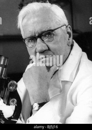 SIR Alexander Fleming - bactériologiste écossais et discovere de pénicilline (1881-1955) Banque D'Images