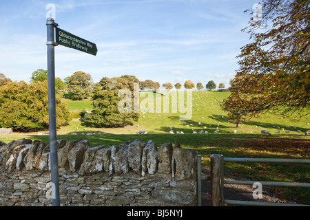 Champs de pâturage de moutons traversé par le Gloucestershire Cotswold Way à côté du village de Notgrove, Gloucestershire Banque D'Images