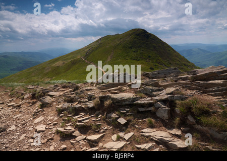 Avis de Bieszczady, en mai, la Pologne Tarnica Banque D'Images