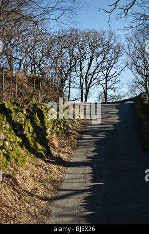 Raide voie unique country lane. Banque D'Images