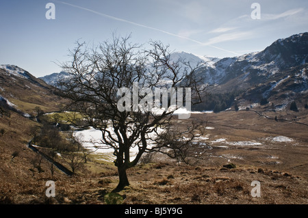 Blea Tarn, vue sur circuit de randonnée à partir de la Lake Road, près de Ambleside jusqu'Lingmoor a chuté et l'arrière. Banque D'Images
