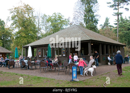 Cafe - Wendover Woods - Buckinghamshire Banque D'Images