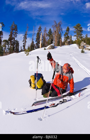 Skieur d'arrière-pays de retirer peaux sur Panther Peak, Sequoia National Park, Californie Banque D'Images