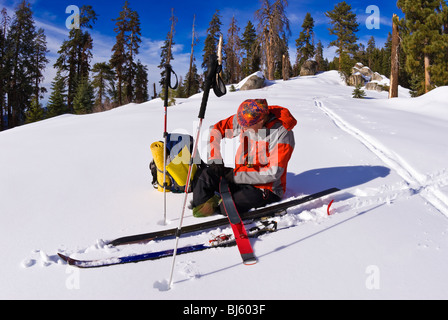 Skieur d'arrière-pays de retirer peaux sur Panther Peak, Sequoia National Park, Californie Banque D'Images