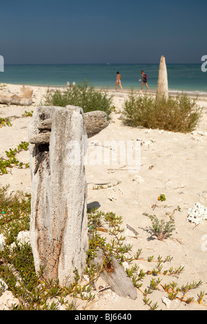 L'Indonésie, Lombok, Gili Air, sculptures de bois flotté derrière une plage de sable blanc Banque D'Images