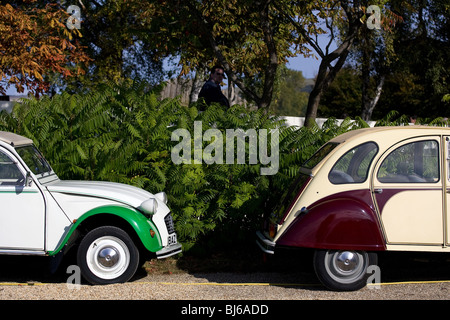 Deux 2CV Citroën. Banque D'Images