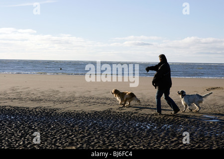 Un homme qui marche le chien sur une plage de sable fin et lançant une boule. Banque D'Images