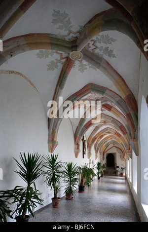 ( Stiski Sticna) créée en 1136,Monastère monastère cistercien,église abbatiale romane,,origine,style Baroque,Slovénie Banque D'Images