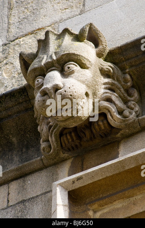Un lion gargouille sur un collège d'Oxford UK Banque D'Images