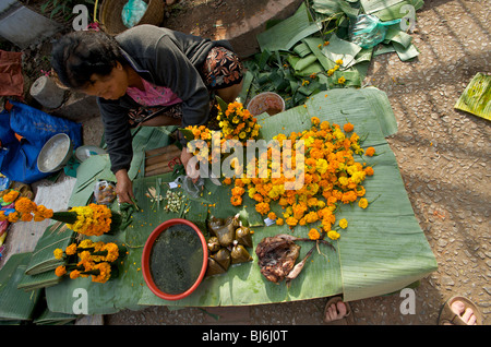 En regardant une femme faisant Lao marigold flower en offrandes au temple de Luang Prabang marchés tôt le matin Banque D'Images