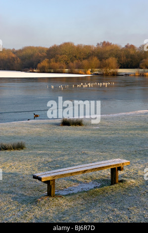 Barden Lake, Tonbridge, Kent, Angleterre en winter sunshine Banque D'Images