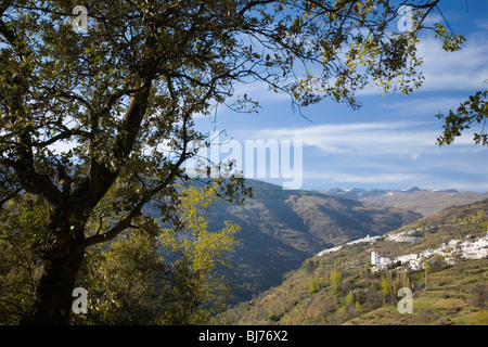 Bubión, Andalousie, espagne. Les villages de montagne blanche de Bubión et Capileira dans le coeur de l'Alpujarras. Banque D'Images