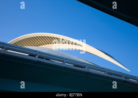 Valence, Valence, Espagne. Détail de l'Palacio de las Artes Reina Sofia, Ciudad de las Artes y las Ciencias. Banque D'Images