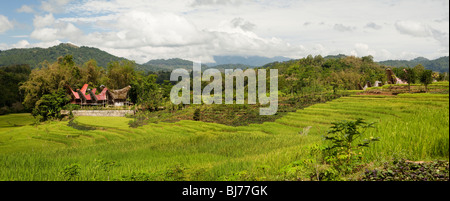 L'Indonésie, Sulawesi, Tana Toraja, communauté de maisons traditionnelles Tongkonan à travers les champs de riz cultivé, vue panoramique Banque D'Images