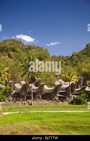 L'Indonésie, Sulawesi, Tana Toraja, village traditionnel de Kete Kesu, maisons et granges de riz tongkonan à travers les champs de riz Banque D'Images