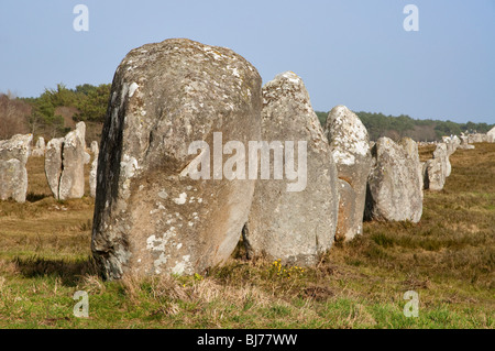 Alignements du Menec, Menhirs de Carnac dans le Morbihan (Bretagne, France, Europe) Banque D'Images