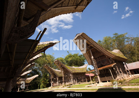 L'Indonésie, Sulawesi, Tana Toraja, village traditionnel de Kete Kesu, état haut tongkonan maisons avec beaucoup de cornes de buffle à l'extérieur Banque D'Images