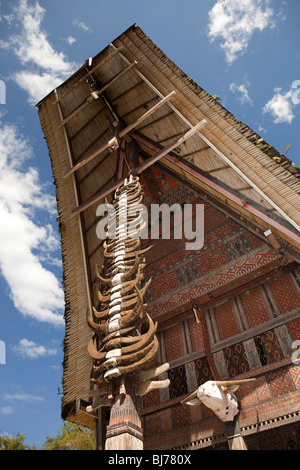 L'Indonésie, Sulawesi, Tana Toraja, village traditionnel de Kete Kesu, état haut tongkonan maison avec beaucoup de cornes de buffle à l'extérieur Banque D'Images