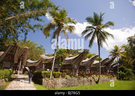 L'Indonésie, Sulawesi, Tana Toraja, village traditionnel de Kete Kesu, maisons et granges de riz tongkonan Banque D'Images