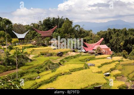 L'Indonésie, Sulawesi, Tana Toraja, Lokkomata traditionnelles maisons tongkonan, à travers rizières en terrasses Banque D'Images