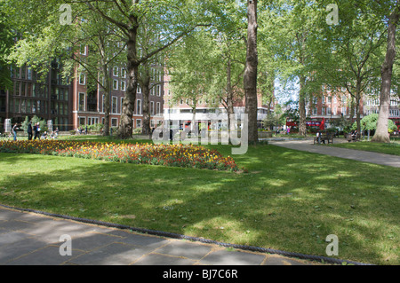 St Johns    Jardins SW1 London Banque D'Images