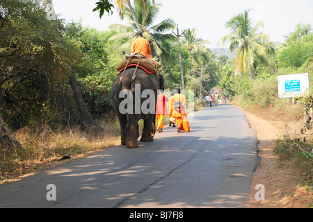 L'éléphant du Temple, chauffeur, décoré d'éléphants indiens Banque D'Images