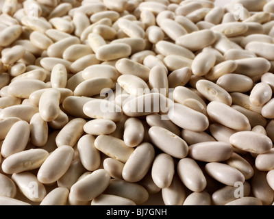Haricots secs entiers d'argentamien, haricots d'alubia, rajma blanc, haricots blancs ou haricots canellini, - gros plan plein cadre Banque D'Images