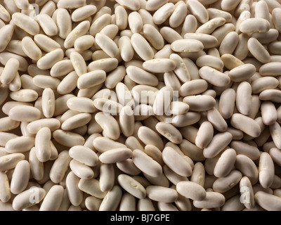 Haricots secs entiers d'argentamien, haricots d'alubia, rajma blanc, haricots blancs ou haricots canellini, - gros plan plein cadre Banque D'Images