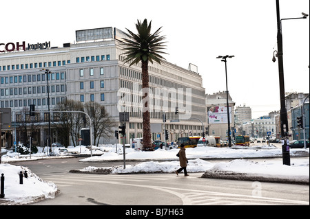 Palmier artificiel au milieu de l'intersection entre Aleja Jerozolimskie et à Varsovie Nowy Swiat Pologne Banque D'Images