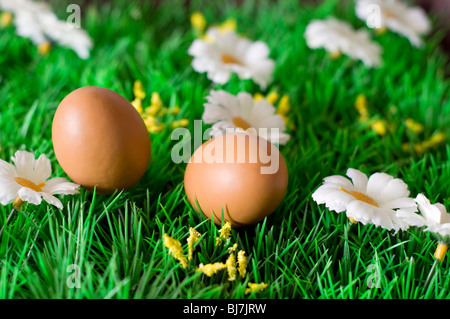 Une scène de printemps de deux oeufs sur une plaque d'herbe verte et de fleurs Banque D'Images