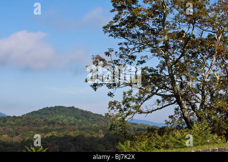 Grandfather Mountain Caroline du Nord Appalachian Mountains National Blue Ridge Parkway aux États-Unis fond d'écran de chaîne de montagnes haute résolution Banque D'Images