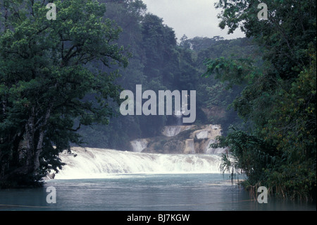 Les chutes d'Agua Azul au Chiapas, Mexique Banque D'Images