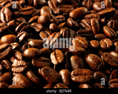 La Papouasie-Nouvelle-Guinée, les grains de café du commerce équitable stock Photos Banque D'Images