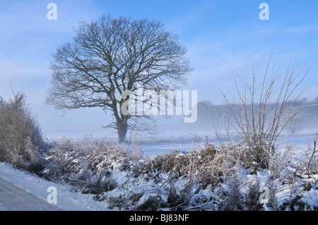 Winter Wonderland country lane Banque D'Images