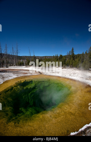 Gloire du matin, geyser dans le Parc National de Yellowstone, Wyoming, USA Banque D'Images