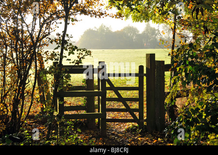 Couleurs automnales sentier public kissing gate entrant dans le champ d'agriculteurs Banque D'Images