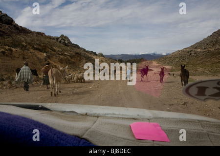 Les populations indigènes des agriculteurs boliviens et les animaux vus à travers pare-brise de voiture Banque D'Images