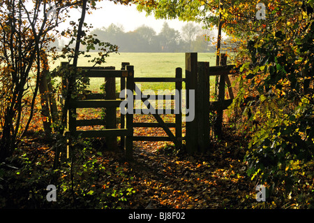 Couleurs automnales sentier public kissing gate entrant dans le champ d'agriculteurs Banque D'Images