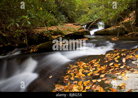 L'un des plusieurs belles cascades le wildcat Creek dans le nord-est de la Géorgie. Banque D'Images