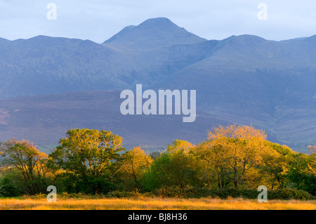 Carrauntoohil dans les MacGillicuddy's Reeks des gammes, de la rivière Laune à Killorglen, comté de Kerry, Irlande Banque D'Images