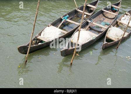 Les petits bateaux de pêcheurs canot en bois disposées et ancrée dans une manière élégante près de Cochin Port,mer,Kerala Inde Banque D'Images