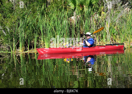 Une femme paddles passé une touffe de roseaux sur Spring Garden Lake Banque D'Images