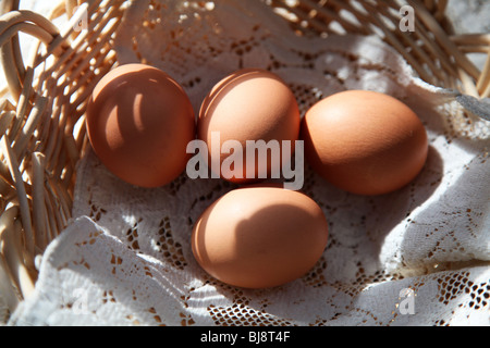 Les oeufs de brun organique de cage, de poules nourries avec un régime végétarien dans un panier tissé main dans la lumière du soleil du matin reed. Banque D'Images