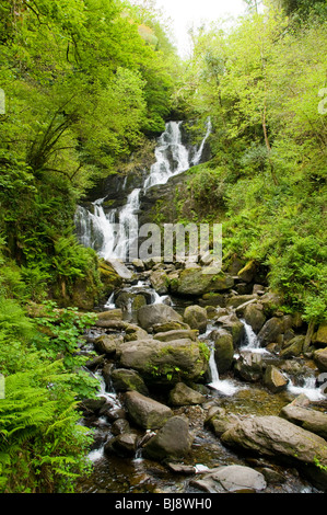 Torc Waterfall, près de Killarney, comté de Kerry, Irlande Banque D'Images