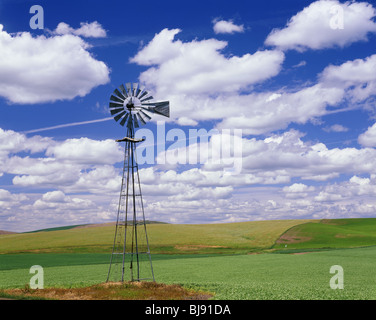 WASHINGTON - un moulin parmi les champs de ferme dans la région de Palouse Eastern Washington. Banque D'Images