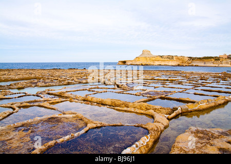 La production de sel à côte de Gozo, Malte Banque D'Images