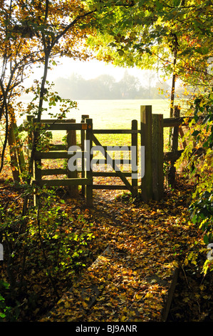 Couleurs automnales sentier public kissing gate entrant dans le champ d'agriculteurs Banque D'Images