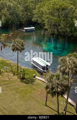 Des excursions en bateau à fond de verre de la rivière d'argent et Silver Springs à Silver Springs State Park près de Ocala, Floride Banque D'Images