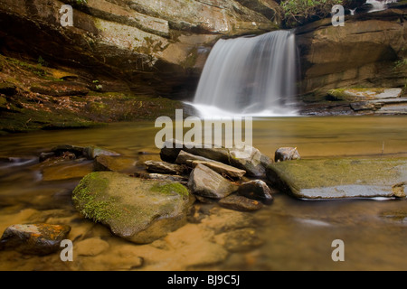 Raper Creek Falls est situé au nord de la Géorgie dans le comté de Habersham. Les chutes sont à environ 15 m de hauteur et unique dans l'aspect que le flux est en cours d'exécution sur un plateau rock diagonale avant de tomber dans la piscine ci-dessous. Banque D'Images