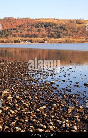 Rives du lac Bala, Llyn Tegid, Gwynedd, Pays de Galles Banque D'Images